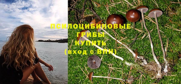 герыч Богородицк