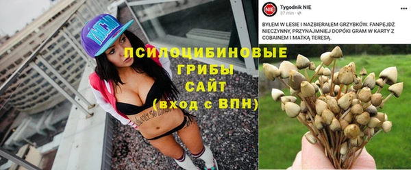 ALPHA-PVP Нягань