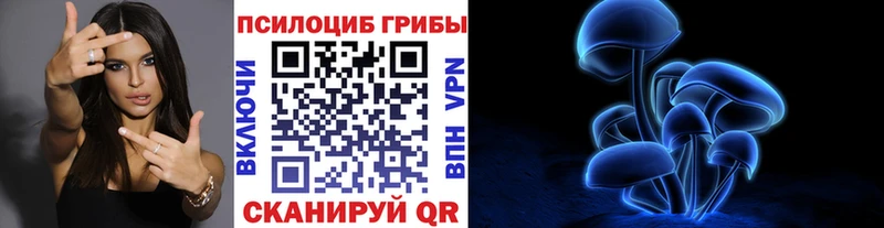 Галлюциногенные грибы Psilocybine cubensis Котельники